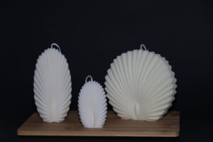 Vela de decoración concha | Anxanar Natural